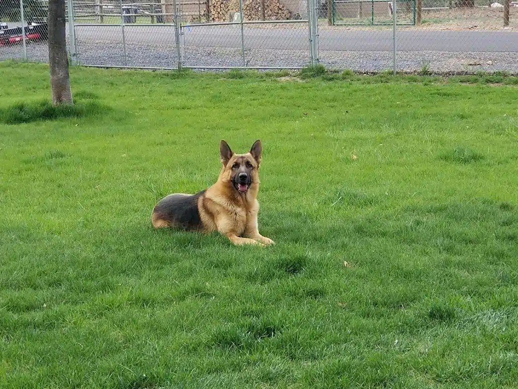 Electrician services in Electrician, Oregon by Kercher Electric